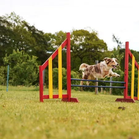 Hof Koehne - Altes - Jagdwohnung Apartment