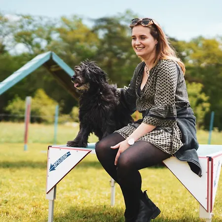 Hof Koehne - Altes - Jagdwohnung Apartment Schmallenberg