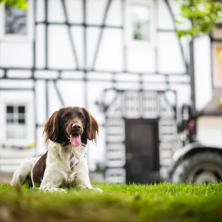 Apartment Hof Köhne - Altes - Jagdwohnung Schmallenberg
