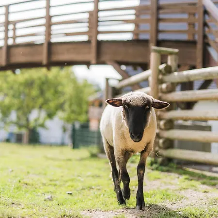 Hof Koehne - Altes - Jagdwohnung * Schmallenberg
