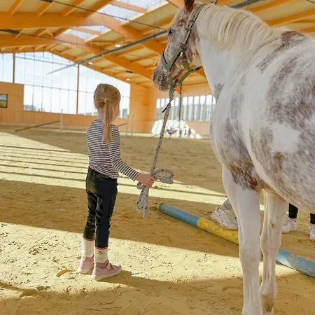 Apartment Hof Köhne - Altes - Jagdwohnung Schmallenberg