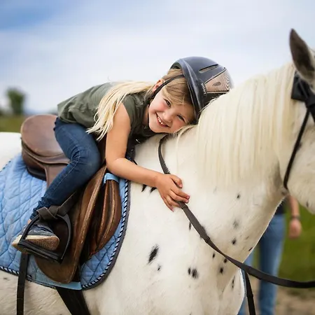 Hof Koehne - Altes - Jagdwohnung Schmallenberg