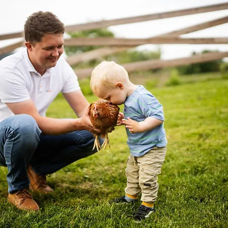 Hof Koehne - Altes - Jagdwohnung Schmallenberg