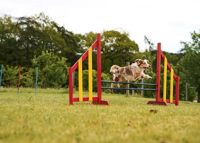 Hof Koehne - Altes - Jagdwohnung Apartamento