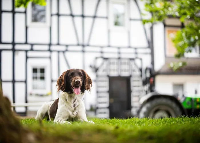 Apartamento Hof Koehne - Altes - Jagdwohnung Schmallenberg