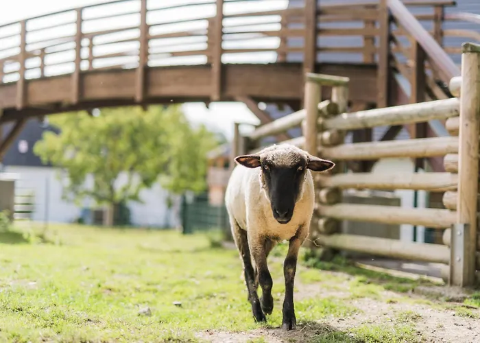 Hof Koehne - Altes - Jagdwohnung * Schmallenberg