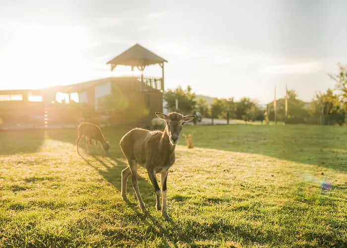 Hof Koehne - Altes - Jagdwohnung Apartamento Schmallenberg