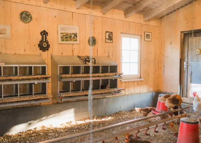 Apartamento Hof Koehne - Altes - Jagdwohnung